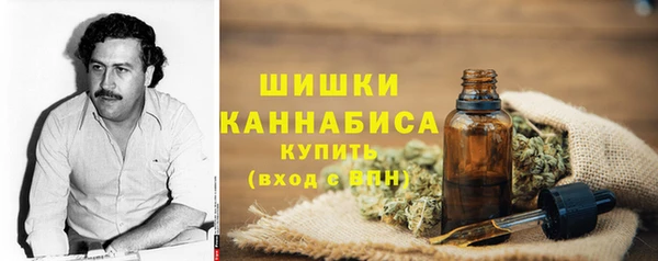 прущие крисы Надым